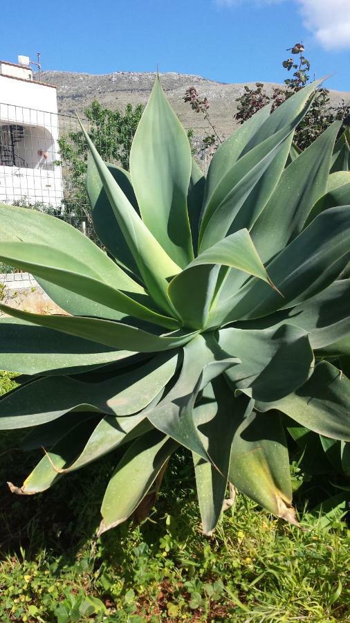 Karma B&B San Vito Lo Capo Exteriör bild