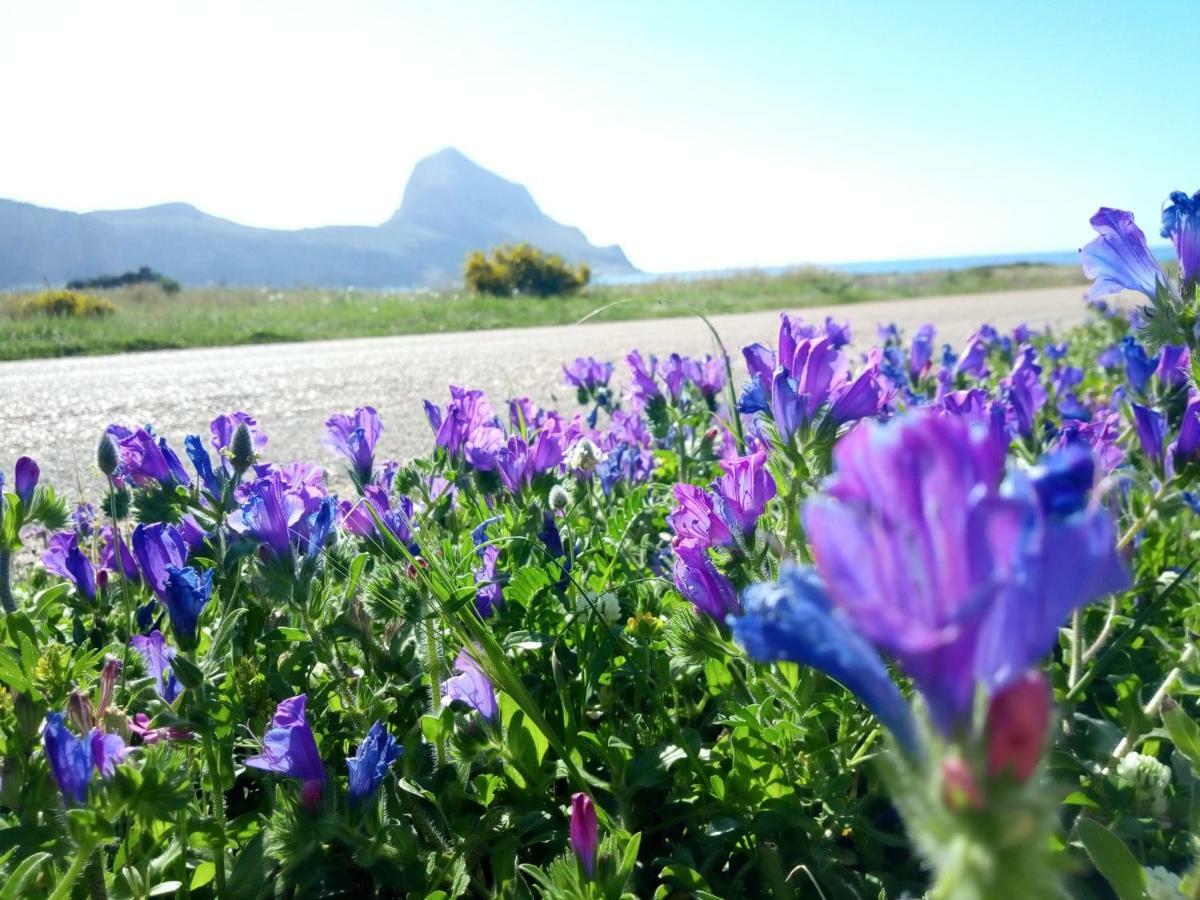 Karma B&B San Vito Lo Capo Exteriör bild